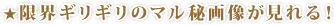 限界ギリギリのマル秘画像が見れる!