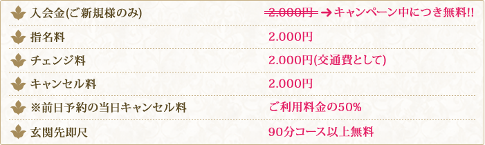 ���̑��̗���